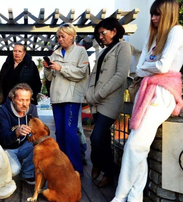 Bodrum da Hayvanseverlere B&uuml;y&uuml;k Şok 2