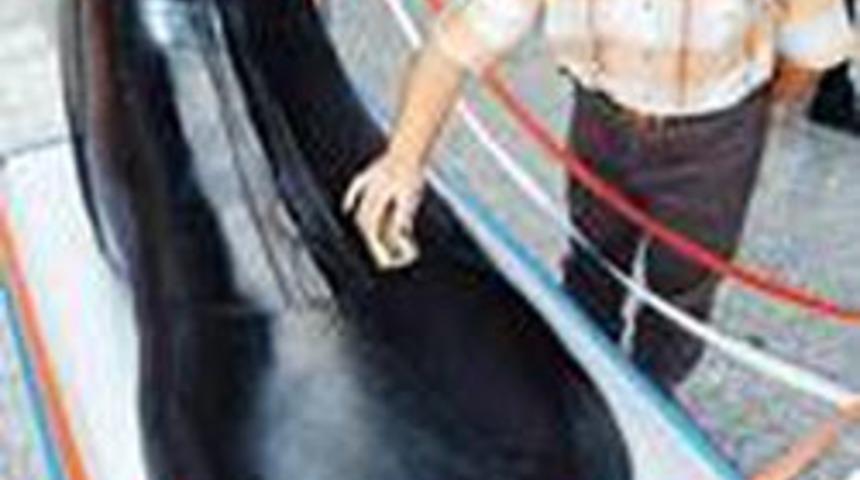 D&uuml;nyanın 'En' sıfatıyla başlayanları!