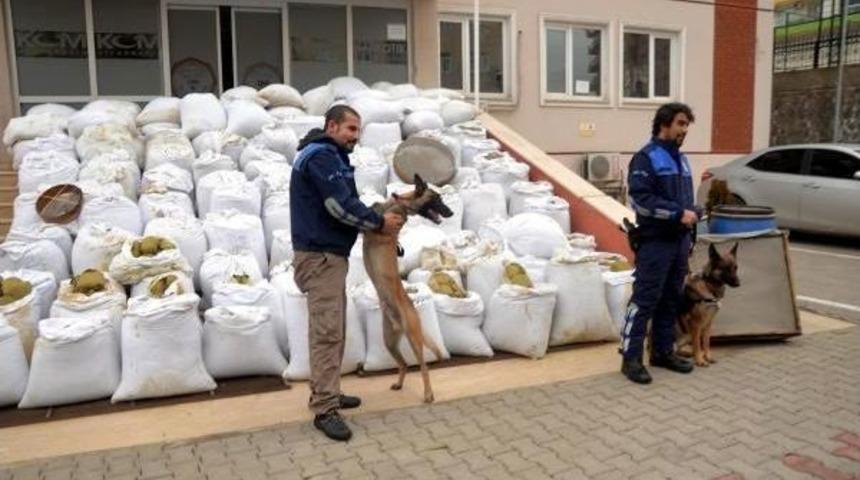 Lice'de Ele Ge&ccedil;en 6 Ton Esrar Teşhir Edildi