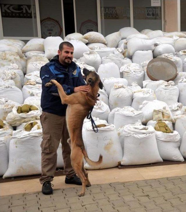 Lice'de Ele Geçen 6 Ton Esrar Teşhir Edildi