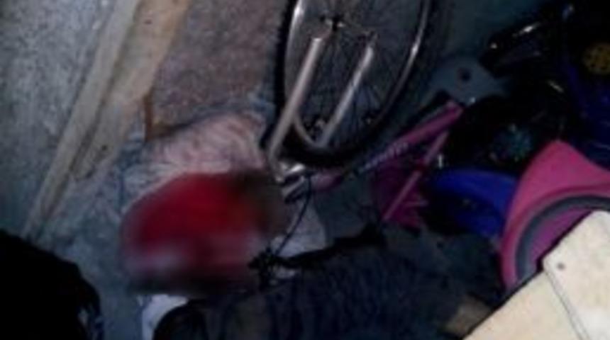 Katili, Kardeşi Ele Verdi