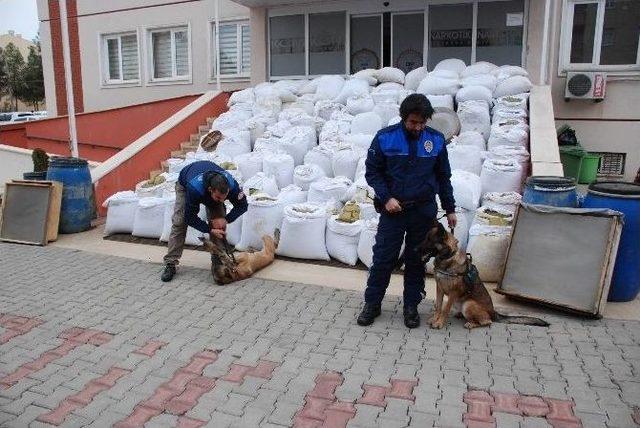 Lice’de Ele Geçirilen Uyuşturucular Sergilendi