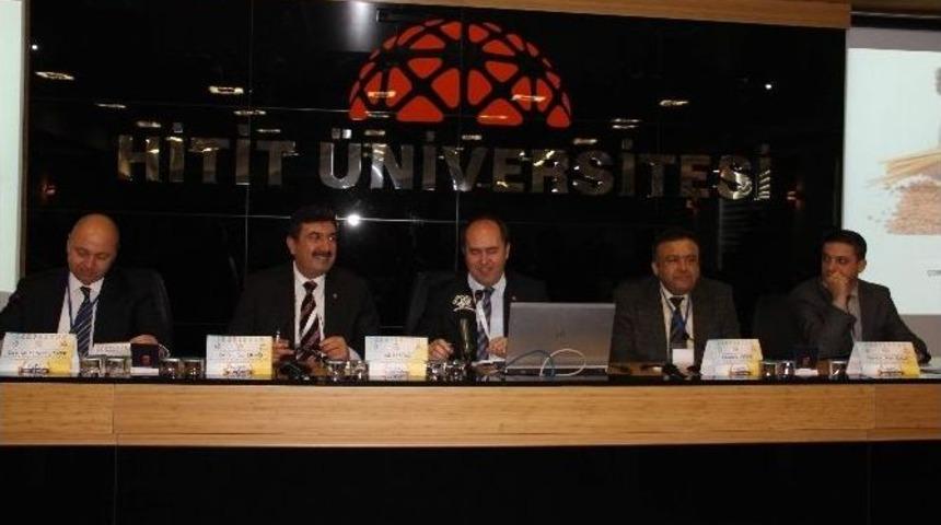 Hitit &Uuml;niversitesi&rsquo;nden &ldquo;buğday&rdquo; Sempozyumu