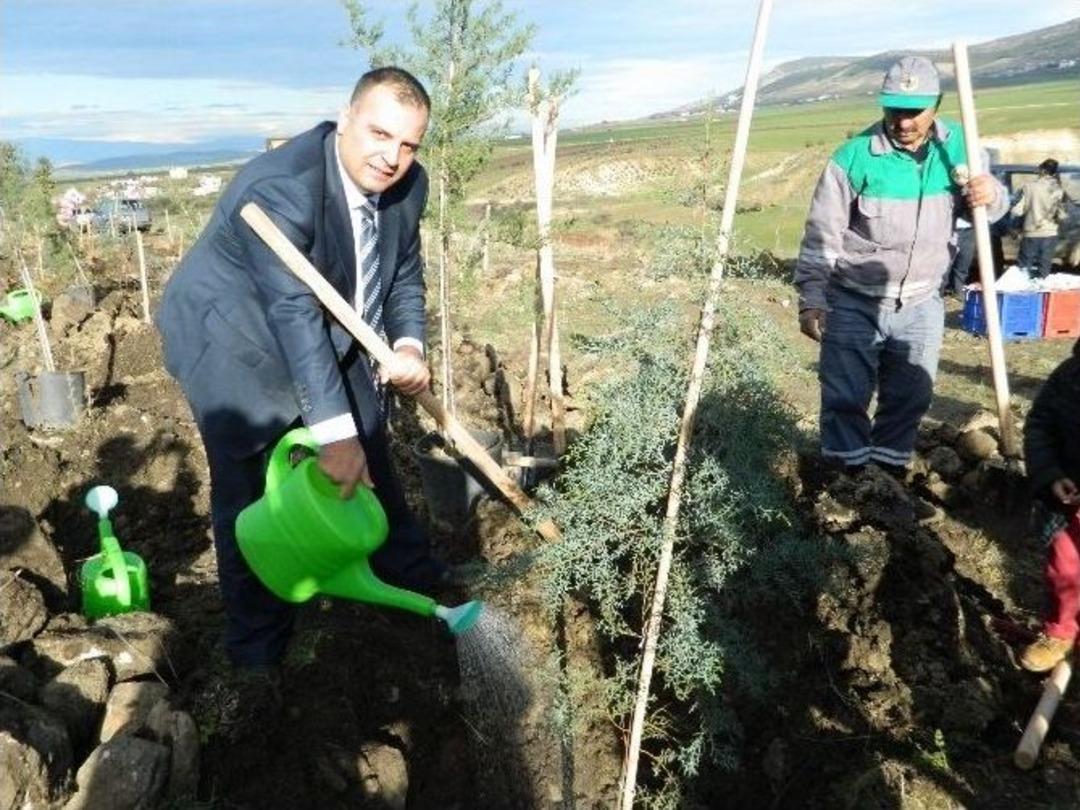 Thy Atmalı K&ouml;y&uuml;ne 25 Bin Fidan Dikti