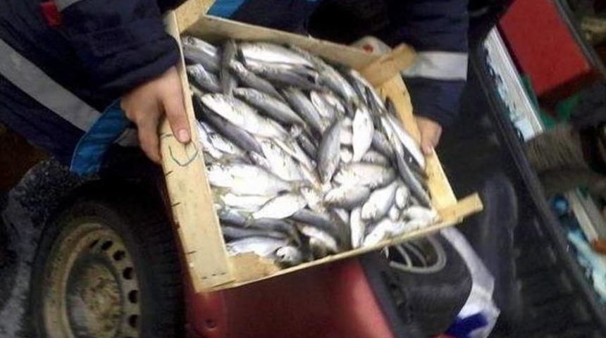 Aydın&rsquo;daki Balık Satış Yerlerine Eş Zamanlı Denetim