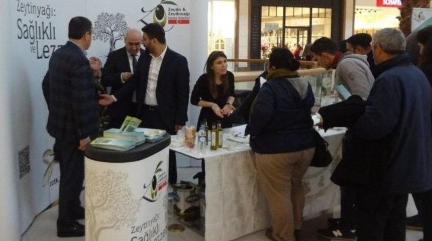 Zeytin Ve Zeytinyağı Tanıtımı T&uuml;m Hızıyla S&uuml;r&uuml;yor