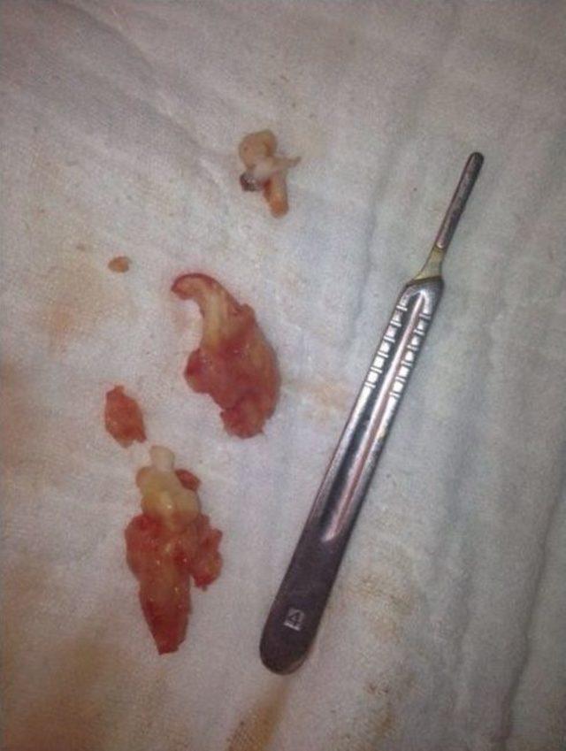 (&ouml;zel Haber) Evini S&uuml;p&uuml;r&uuml;rken Fark Etti, Hayatı Kurtuldu 3