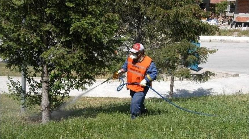 Sağlıkta 2014 Mesaisi