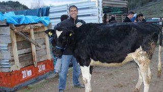 Anadolu'da Besecilik Geliştiriliyor