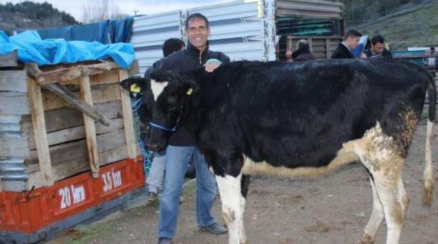 Anadolu'da Besecilik Geliştiriliyor