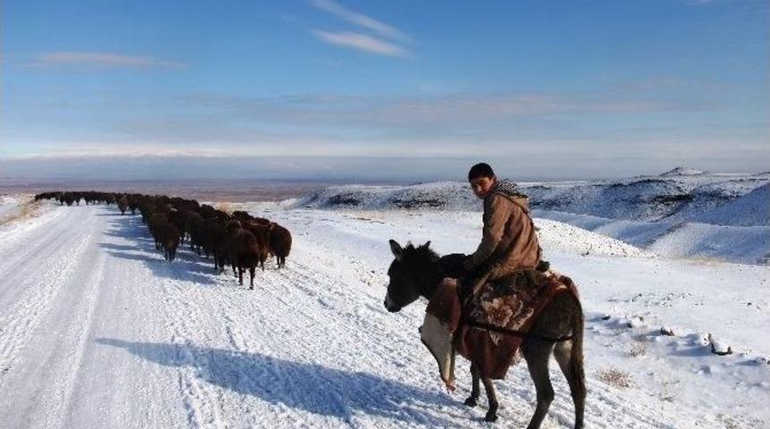 Yaylacıların Zorlu D&ouml;n&uuml;ş&uuml;