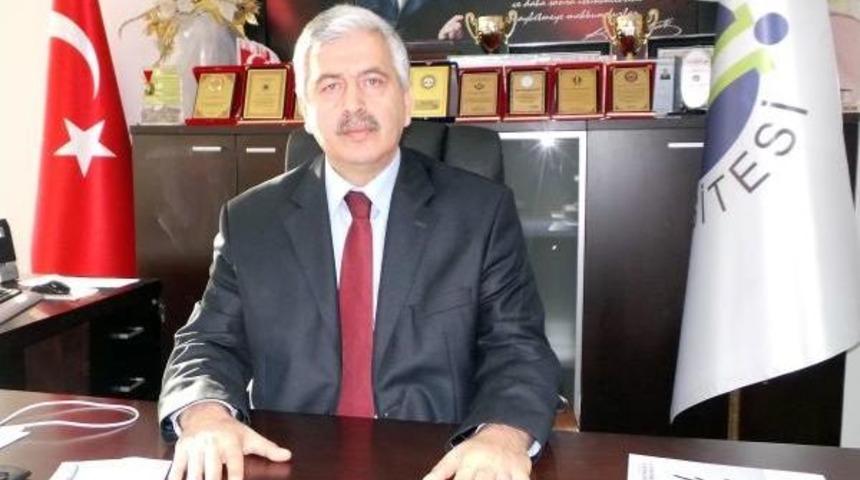 Kivi C Vitamini Deposu