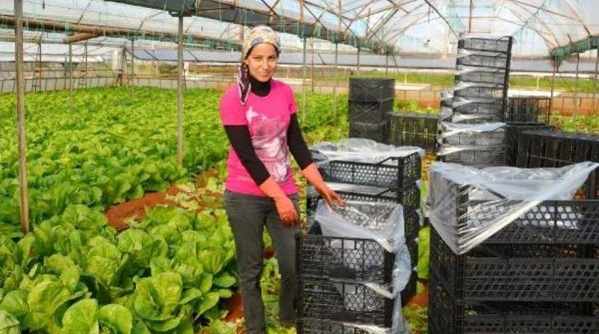 Suriyeliler Antalya'dan Gitmek İstemiyor