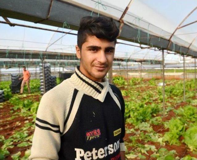 Suriyeliler Antalya dan Gitmek İstemiyor 1