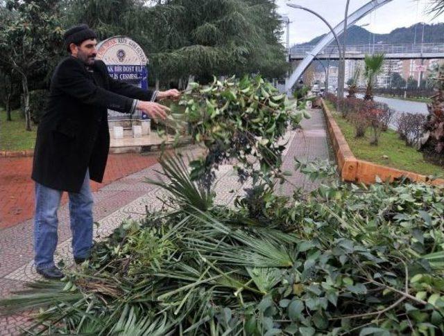 Park S&uuml;p&uuml;rerek Adli Para Cezası &Ouml;d&uuml;yorlar 3