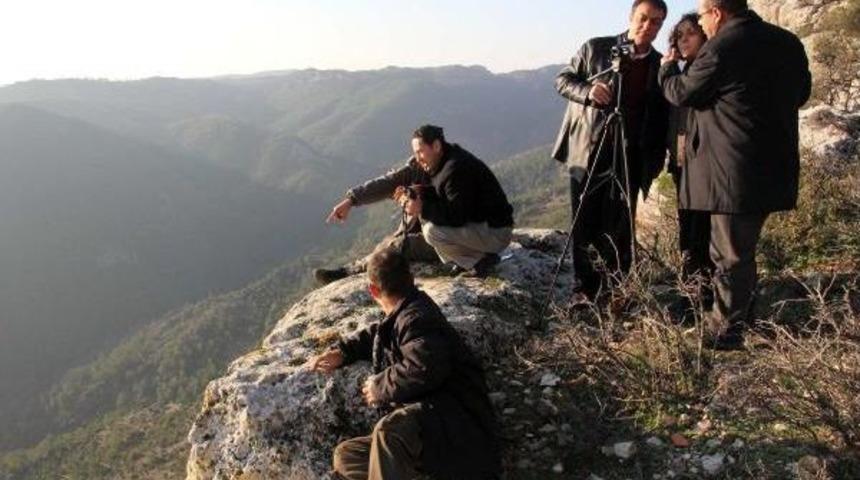 Mersin'deki Yaban Ke&ccedil;isi Sayısı Y&uuml;zde 40 Arttı