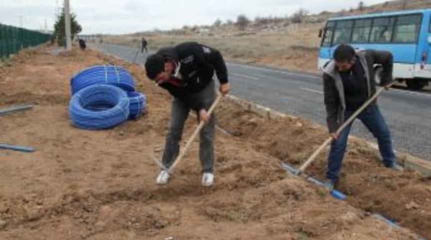 &Uuml;niversite Kavşağındaki Orta Ref&uuml;j Otomatik Sulama Sistemine Kavuşuyor