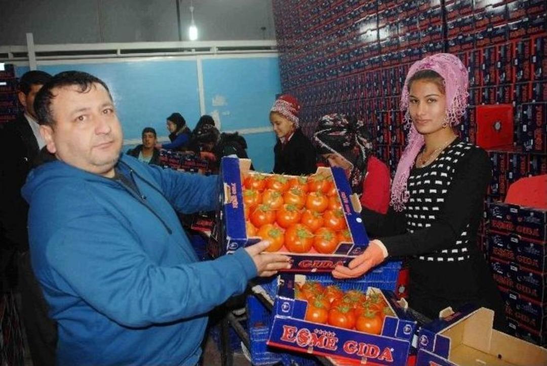 Ruble Fethiyeli İhracat&ccedil;ıları Da Vurdu