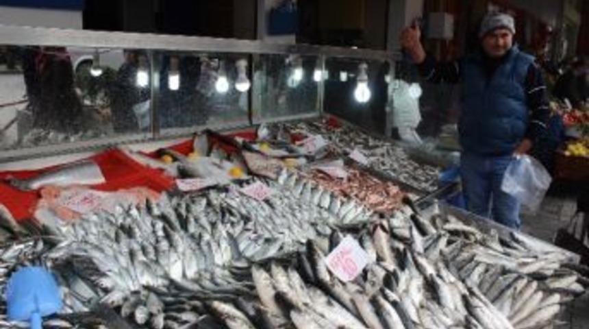 Balık Fiyatları El Yakıyor