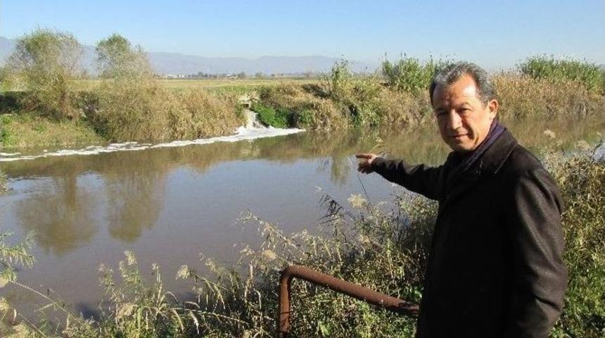 Menderes Nehri &Ouml;l&uuml;m Sa&ccedil;maya Başladı
