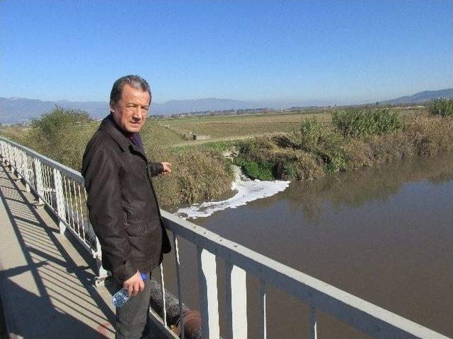 Menderes Nehri Ölüm Saçmaya Başladı
