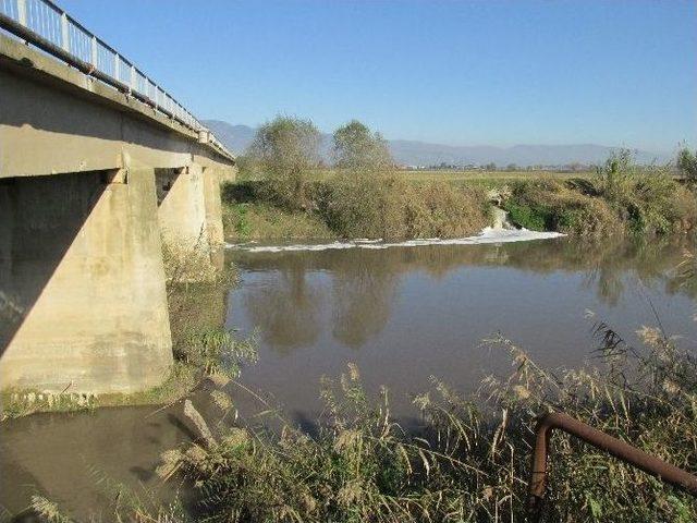 Menderes Nehri Ölüm Saçmaya Başladı