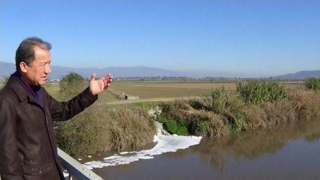 Menderes Nehri Ölüm Saçmaya Başladı