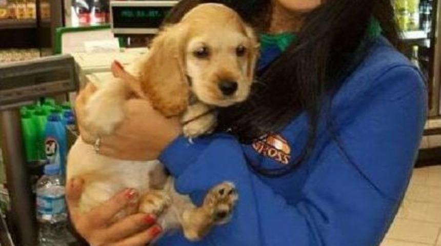 Yolda Tartıştığı Kadını Yaraladı, Sonra Bı&ccedil;ağı Kendine Sapladı