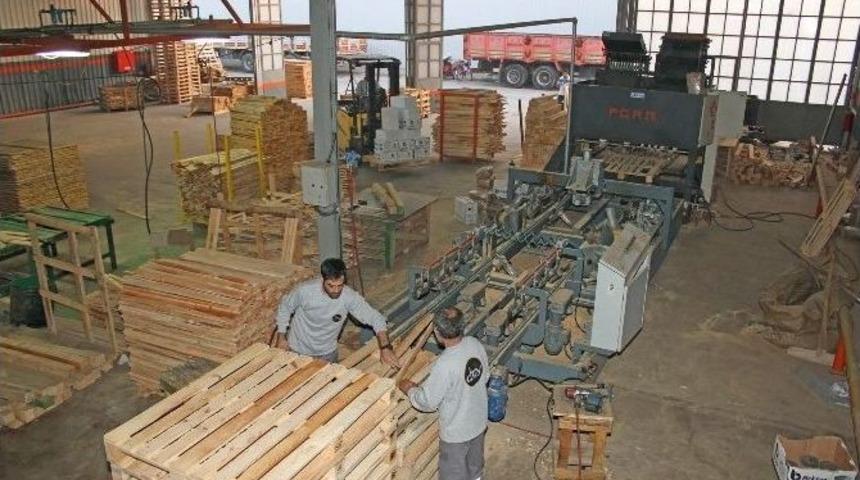 Detay Palet Yatırımlarıyla &Ccedil;ıtasını Y&uuml;kseltiyor