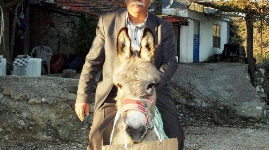 (&ouml;zel Haber) Kayıp Hibe Kamyona Eşekli Takip