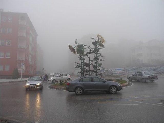 Edirne’de Yoğun Sis