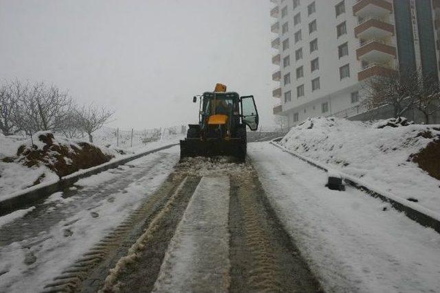 Siirt Belediyesi Karla Mücadele Çalışmalarına Devam Ediyor