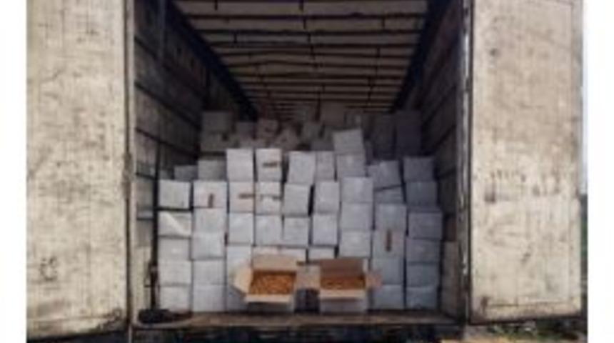 Batman&rsquo;da 43 Ton Faturasız Ceviz İ&ccedil;i Ele Ge&ccedil;irildi