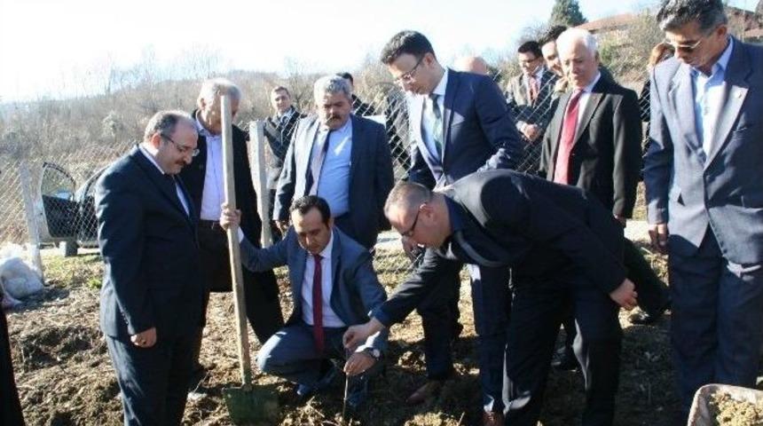 Baston İ&ccedil;in Kızılcık Ağacı Diktiler