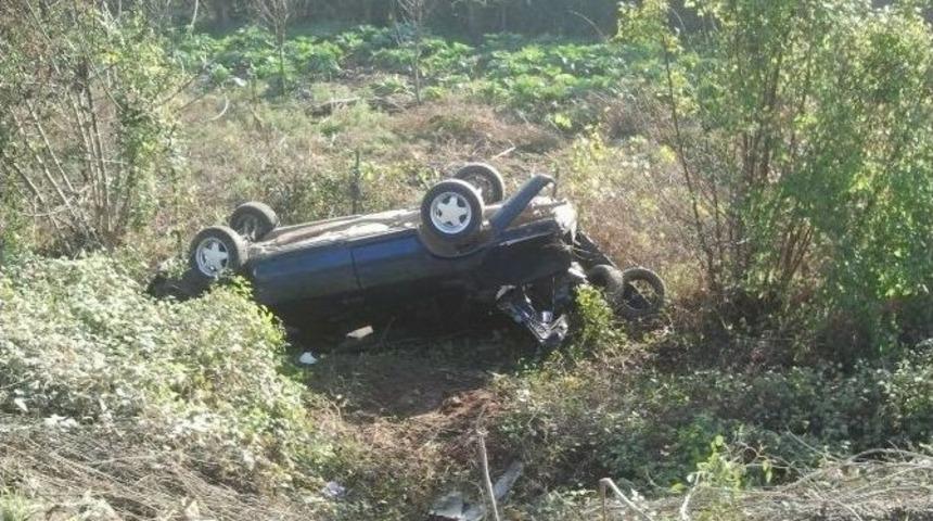 K&ouml;peğin Bir Anda Yola &Ccedil;ıkması Kazaya Neden Oldu