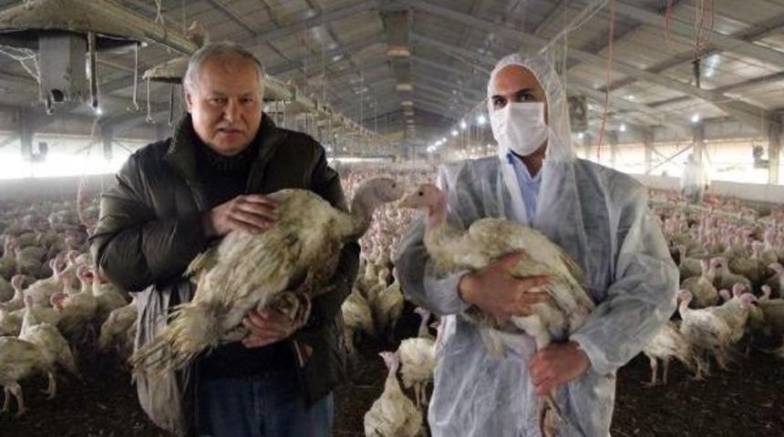 Yılbaşı İ&ccedil;in 120 Bin Hindi Hazırlanıyor