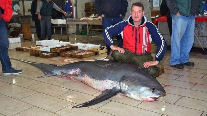 &Uuml;&ccedil; Metrelik &rsquo;&rsquo;canavar&rsquo;&rsquo; İzmir K&ouml;rfezi&rsquo;nde Yakalandı