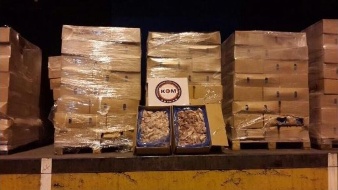 Kırmızı Et Operasyonunda İkinci Dalga