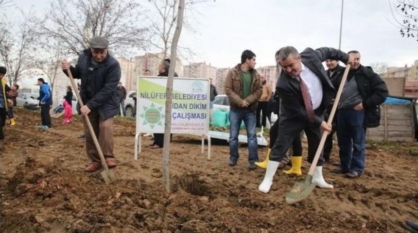 Nil&uuml;fer&rsquo;de Fidanlar Toprakla Buluştu