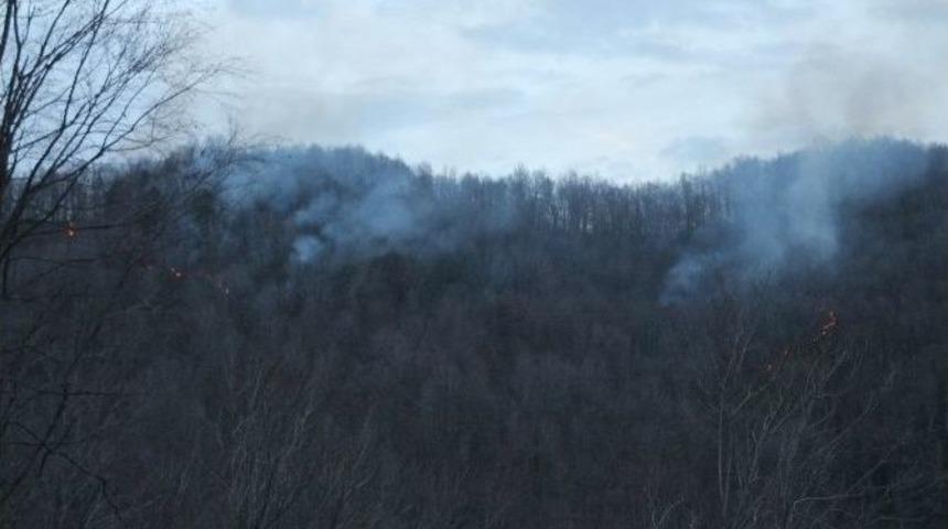 Zonguldak&rsquo;ta Orman Yangını