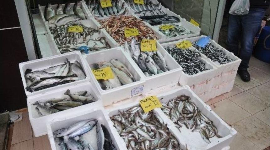 Balık Fiyatları El Yakıyor