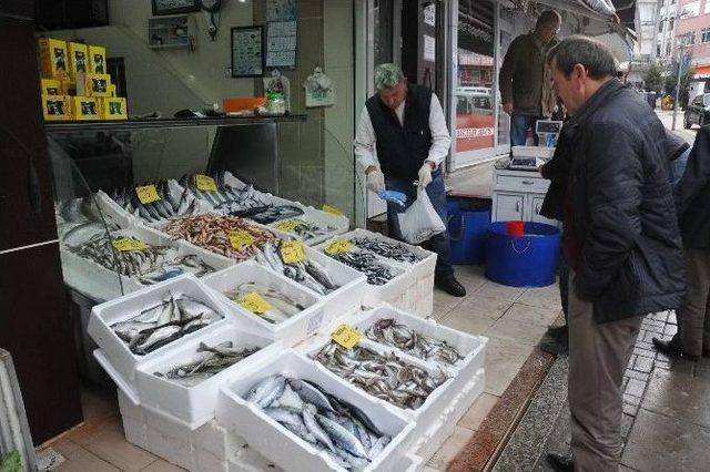 Balık Fiyatları El Yakıyor