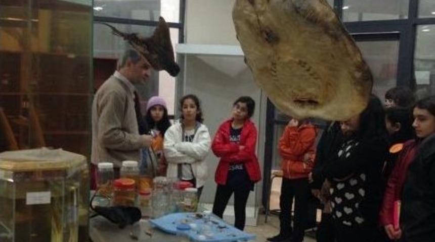 Tema Kul&uuml;b&uuml; &Uuml;yesi &Ouml;ğrenciler A&uuml; Bitki M&uuml;zesi&rsquo;ni Gezdi