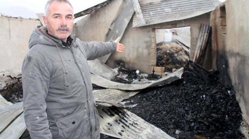 3 Ahır Ve 1 Samanlık Yandı