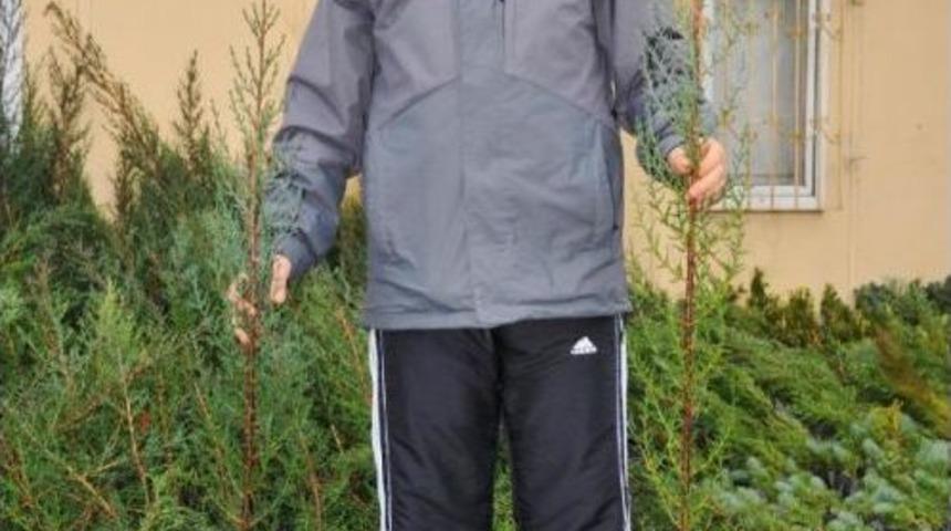 Orman Ekipleri, 24 Saat &Ccedil;am Ağacı N&ouml;betinde