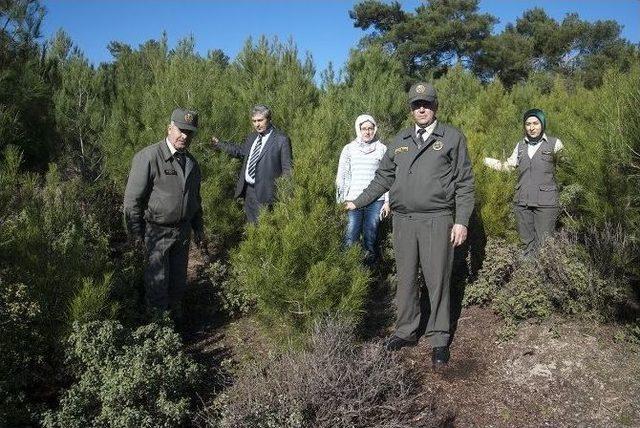 (özel Haber) Kazdağları’nda ’yılbaşı’ Nöbeti