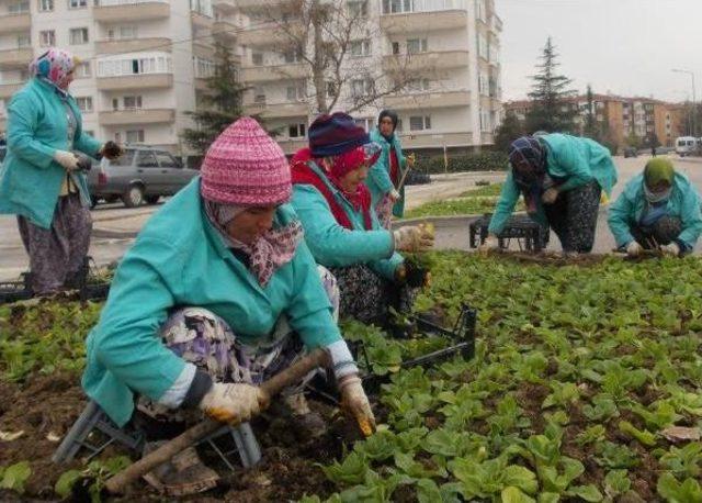 Bursa'yı Çiçeklendiriyorlar