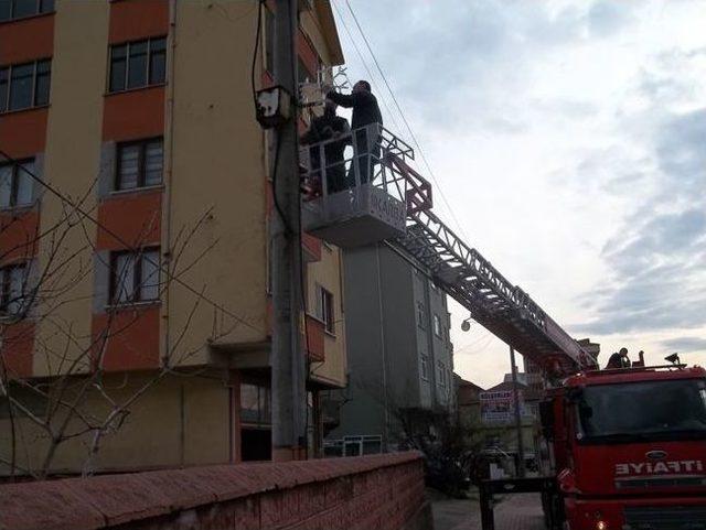 Saltukova’da Yeni Yıl Öncesi Hazırlıklar Devam Ediyor