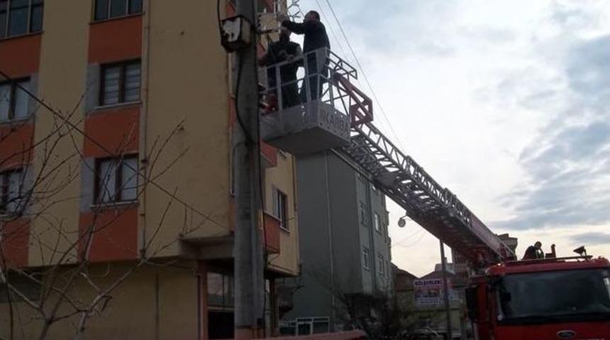 Saltukova&rsquo;da Yeni Yıl &Ouml;ncesi Hazırlıklar Devam Ediyor