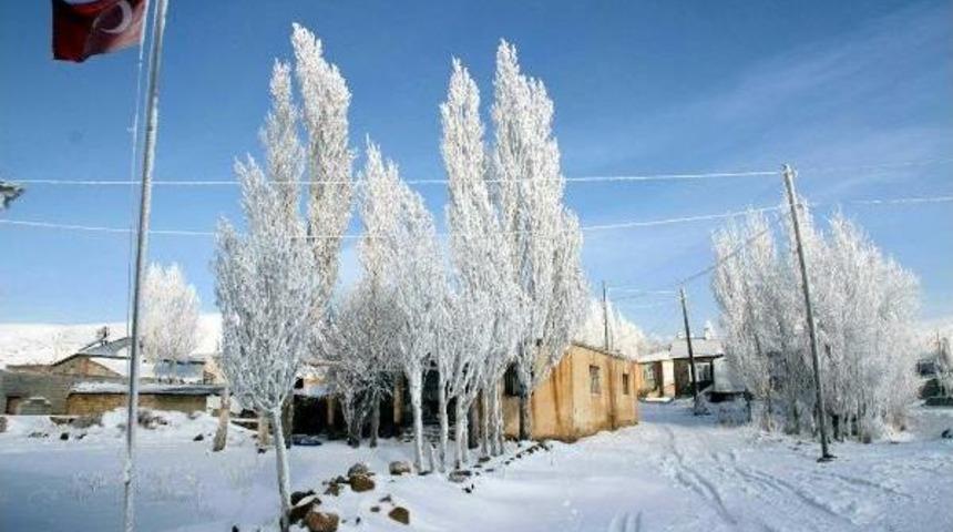 Bayrak Donduran Soğuklar